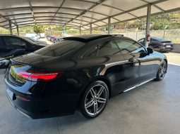 
										MERCEDES CLASSE E 220 CDI 194CV PREMIUM AMG full									